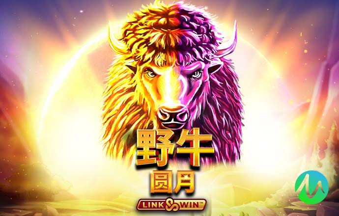 b体育下载网页